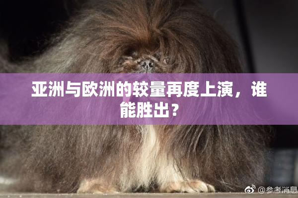 亚洲与欧洲的较量再度上演，谁能胜出？