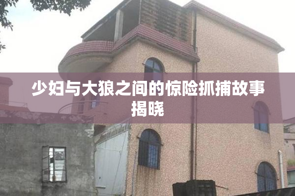 少妇与大狼之间的惊险抓捕故事揭晓