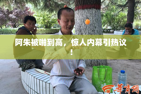 阿朱被啪到高，惊人内幕引热议！