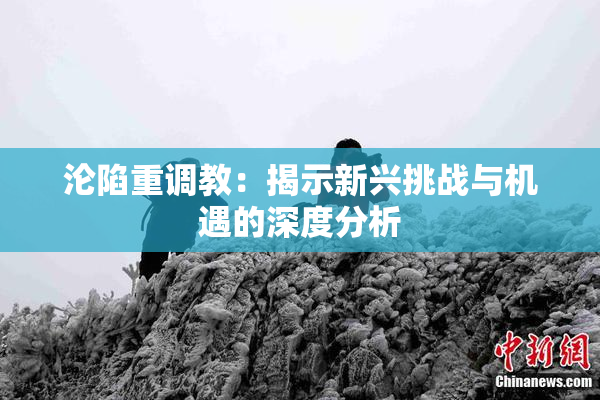 沦陷重调教：揭示新兴挑战与机遇的深度分析