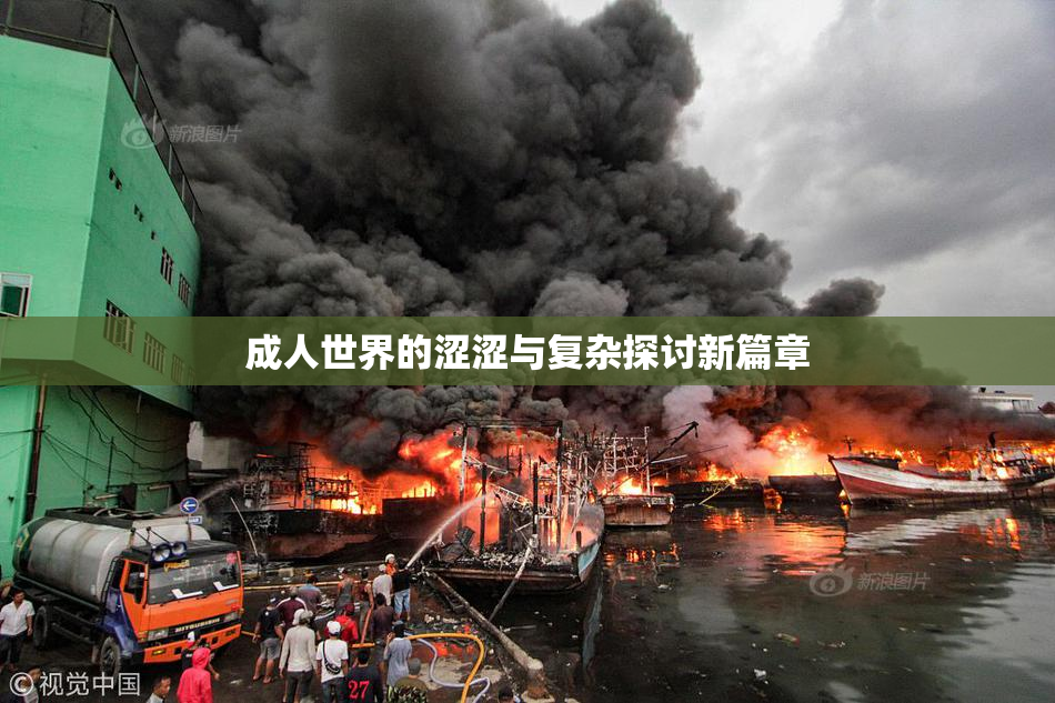 成人世界的涩涩与复杂探讨新篇章