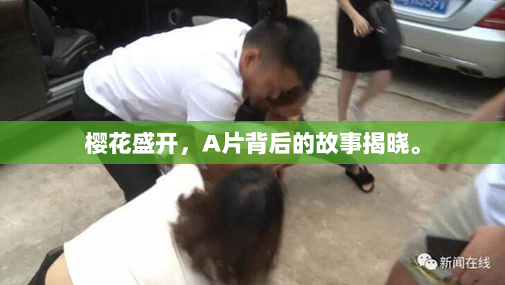樱花盛开，A片背后的故事揭晓。