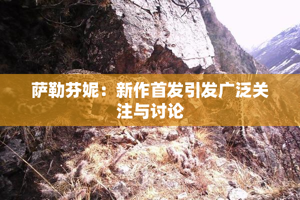 萨勒芬妮：新作首发引发广泛关注与讨论