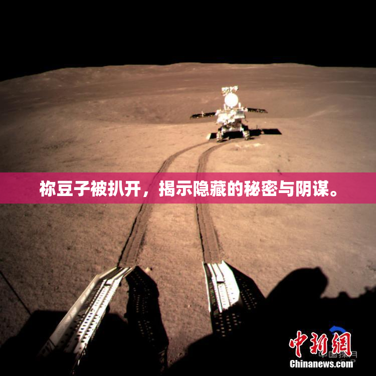 祢豆子被扒开，揭示隐藏的秘密与阴谋。
