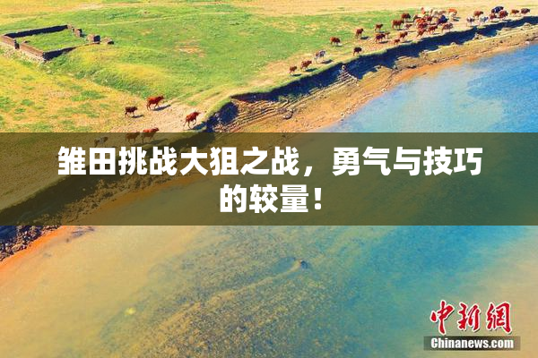 雏田挑战大狙之战，勇气与技巧的较量！