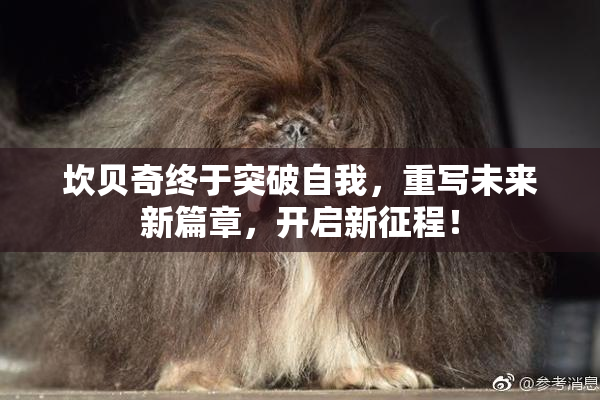 坎贝奇终于突破自我，重写未来新篇章，开启新征程！