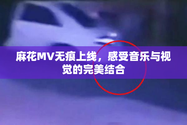 麻花MV无痕上线，感受音乐与视觉的完美结合