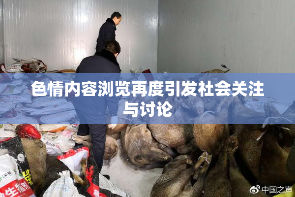 色情内容浏览再度引发社会关注与讨论