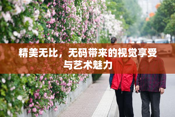 精美无比，无码带来的视觉享受与艺术魅力