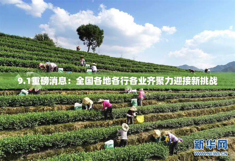 9.1重磅消息：全国各地各行各业齐聚力迎接新挑战