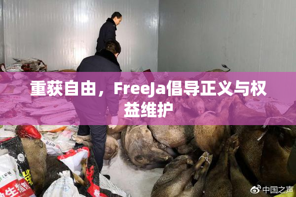 重获自由，FreeJa倡导正义与权益维护
