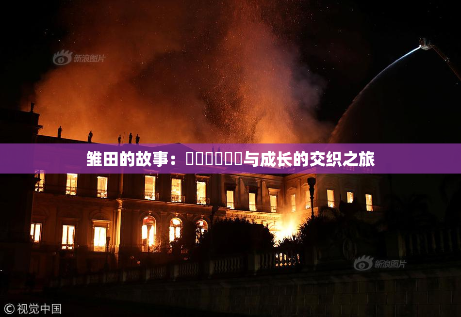 雏田的故事：❌‌❌‌❌‌与成长的交织之旅