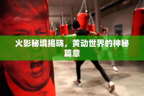 火影秘境揭晓，黄动世界的神秘篇章