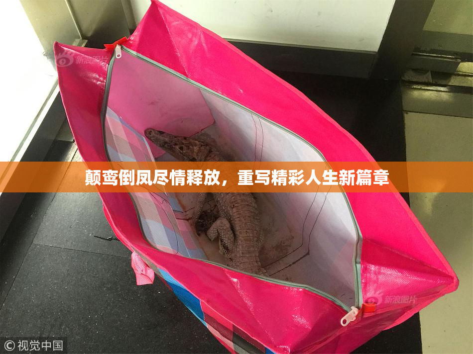 颠鸾倒凤尽情释放，重写精彩人生新篇章