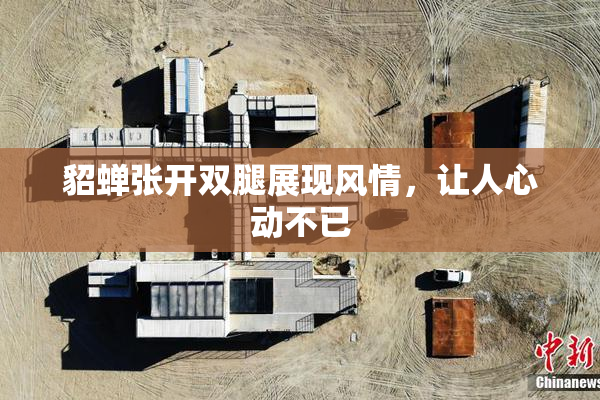 貂蝉张开双腿展现风情，让人心动不已
