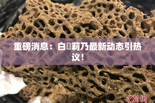 重磅消息：白咲莉乃最新动态引热议！