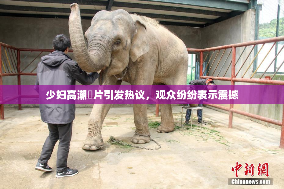 少妇高潮婬片引发热议，观众纷纷表示震撼