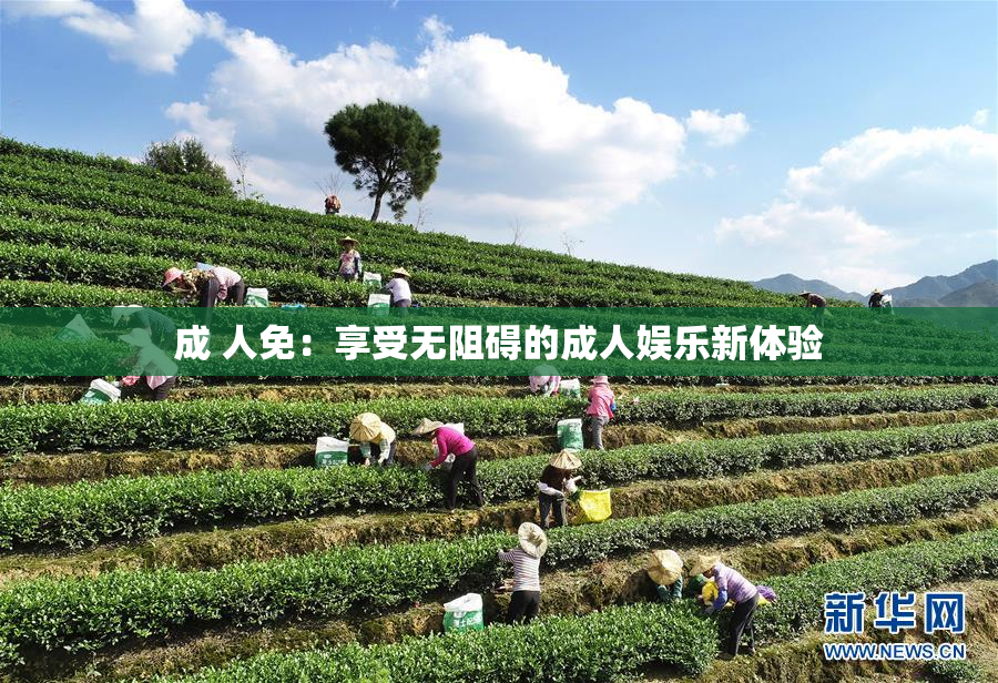 成 人免：享受无阻碍的成人娱乐新体验