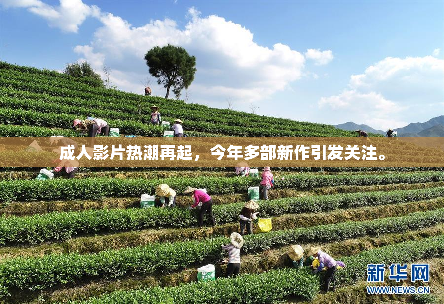 成人影片热潮再起，今年多部新作引发关注。