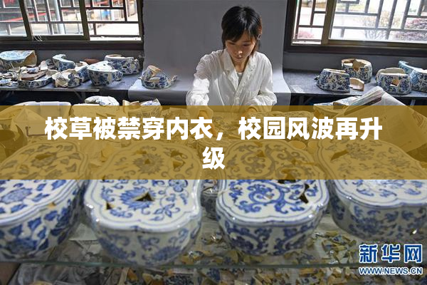 校草被禁穿内衣，校园风波再升级