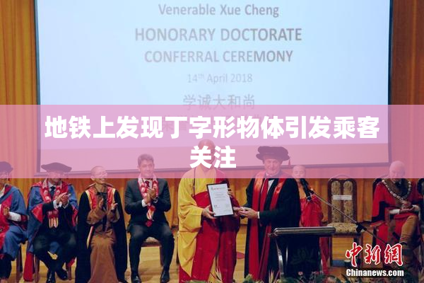 地铁上发现丁字形物体引发乘客关注