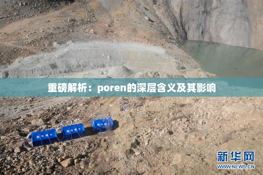 重磅解析：poren的深层含义及其影响