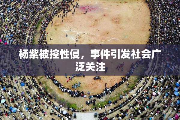 杨紫被控性侵，事件引发社会广泛关注
