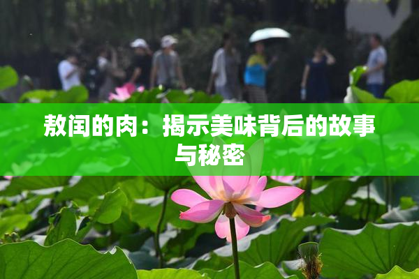 敖闰的肉：揭示美味背后的故事与秘密