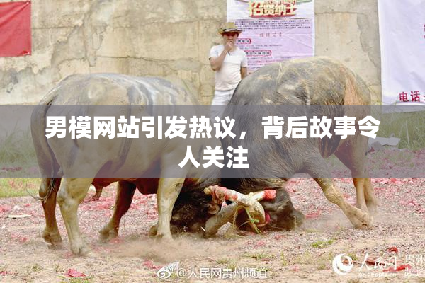 男模网站引发热议，背后故事令人关注