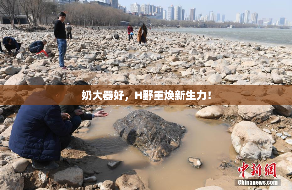 奶大器好，H野重焕新生力！