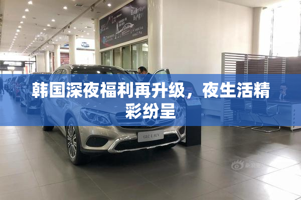 韩国深夜福利再升级，夜生活精彩纷呈