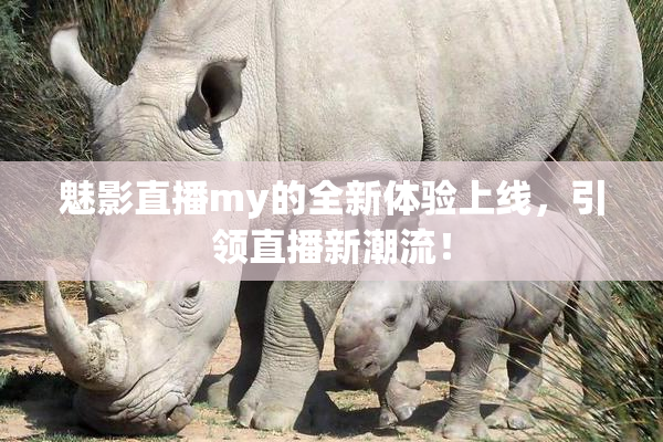魅影直播my的全新体验上线，引领直播新潮流！