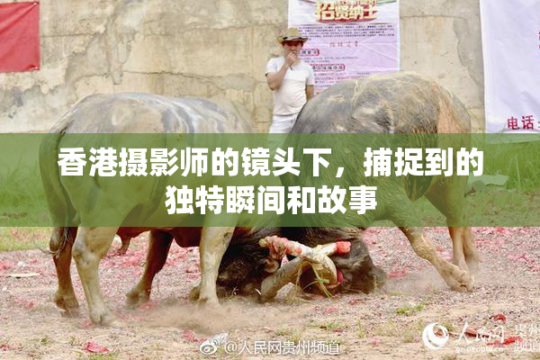 香港摄影师的镜头下，捕捉到的独特瞬间和故事