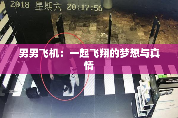 男男飞机：一起飞翔的梦想与真情