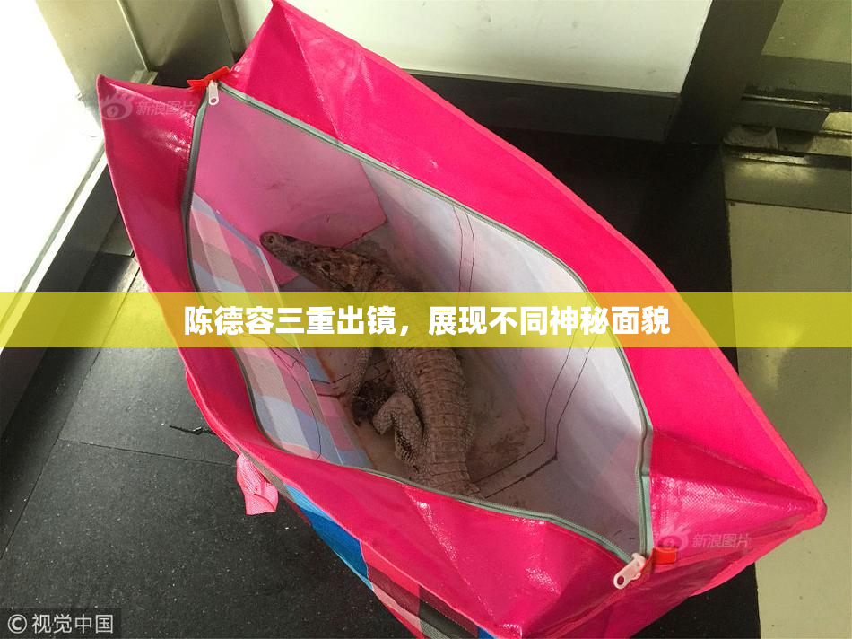 陈德容三重出镜，展现不同神秘面貌