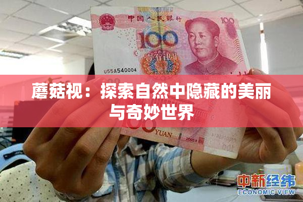 蘑菇视：探索自然中隐藏的美丽与奇妙世界