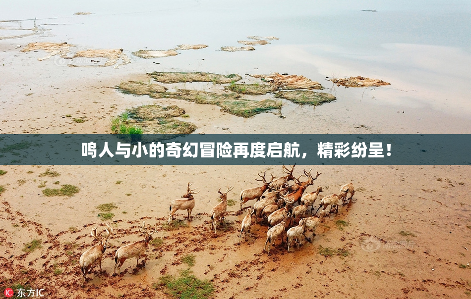 鸣人与小的奇幻冒险再度启航，精彩纷呈！