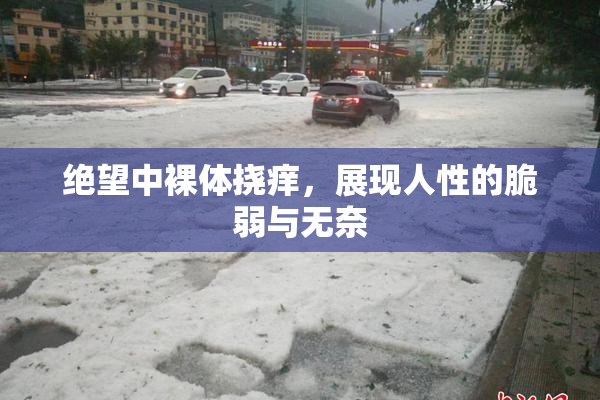 绝望中裸体挠痒，展现人性的脆弱与无奈