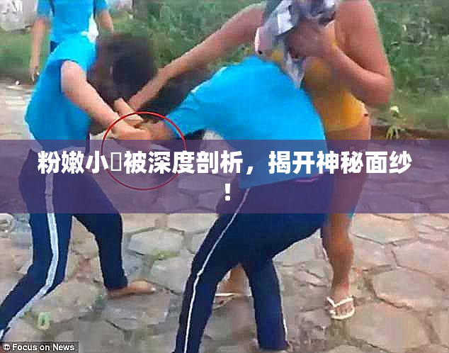 粉嫩小泬被深度剖析，揭开神秘面纱！