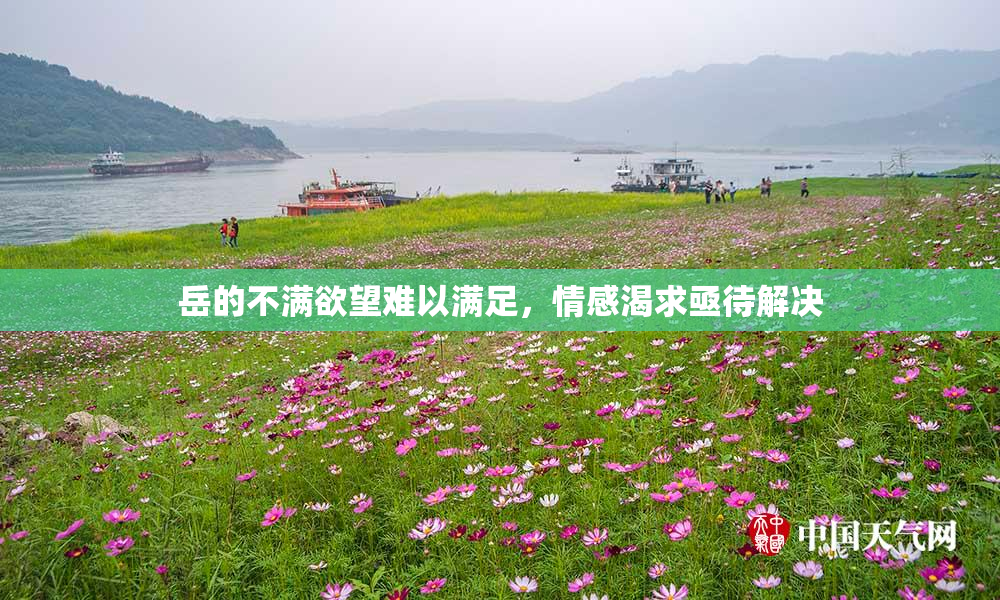 岳的不满欲望难以满足，情感渴求亟待解决