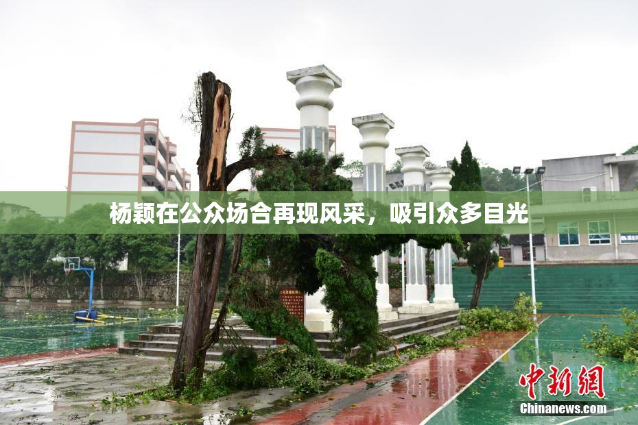 杨颖在公众场合再现风采，吸引众多目光