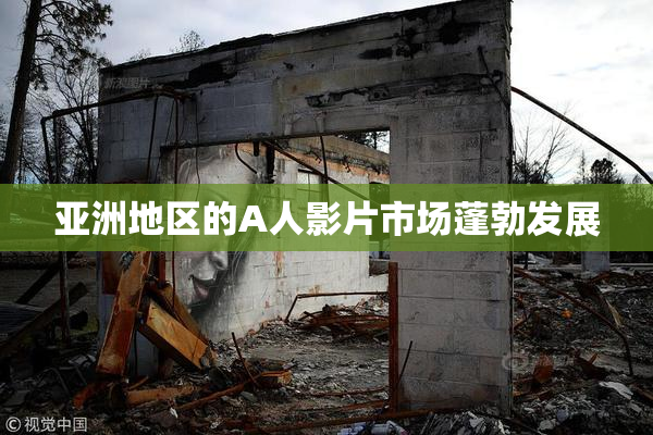 亚洲地区的A人影片市场蓬勃发展