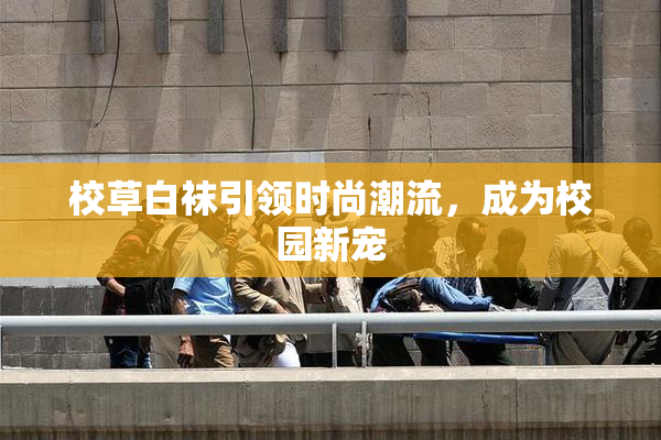 校草白袜引领时尚潮流，成为校园新宠
