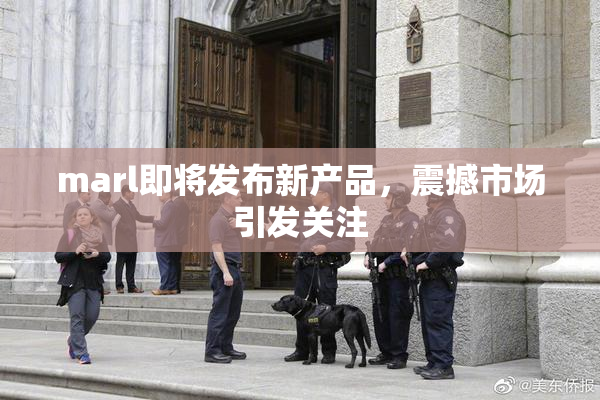 marl即将发布新产品，震撼市场引发关注