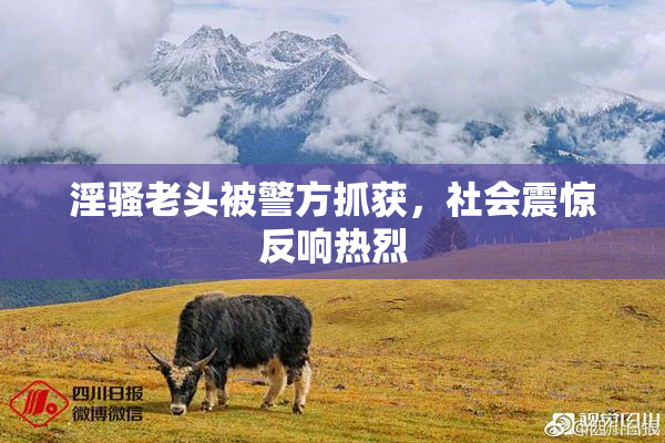 淫骚老头被警方抓获，社会震惊反响热烈
