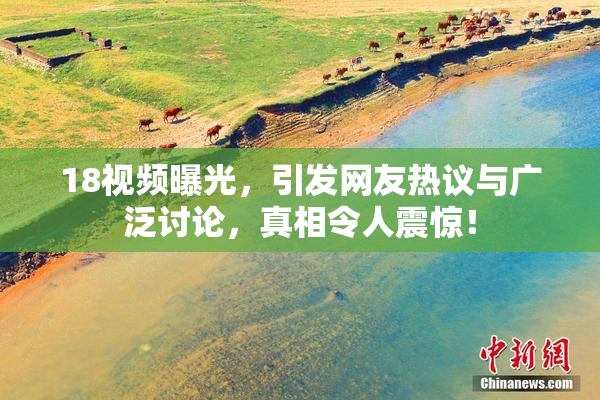 18视频曝光，引发网友热议与广泛讨论，真相令人震惊！