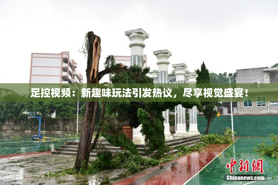 足控视频：新趣味玩法引发热议，尽享视觉盛宴！