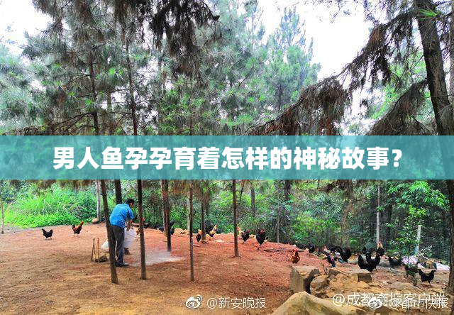 男人鱼孕孕育着怎样的神秘故事？
