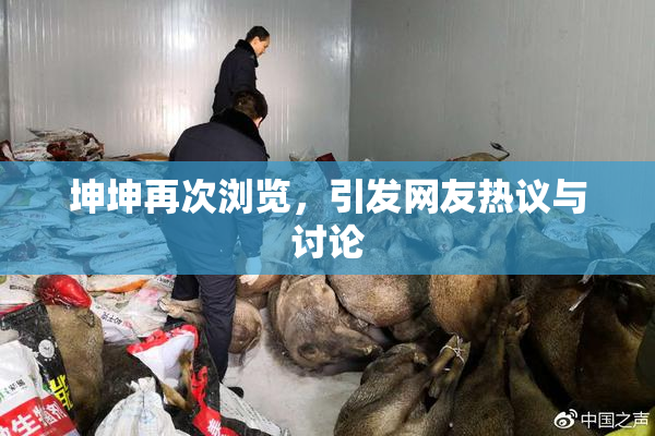 坤坤再次浏览，引发网友热议与讨论