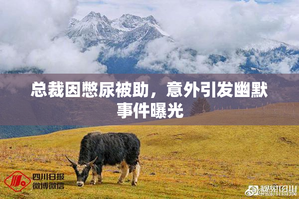 总裁因憋尿被助，意外引发幽默事件曝光